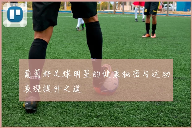 葡萄籽足球明星的健康秘密与运动表现提升之道