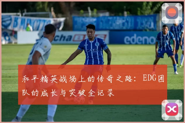 和平精英战场上的传奇之路：EDG团队的成长与突破全记录