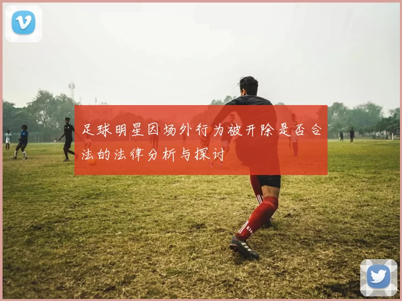 足球明星因场外行为被开除是否合法的法律分析与探讨