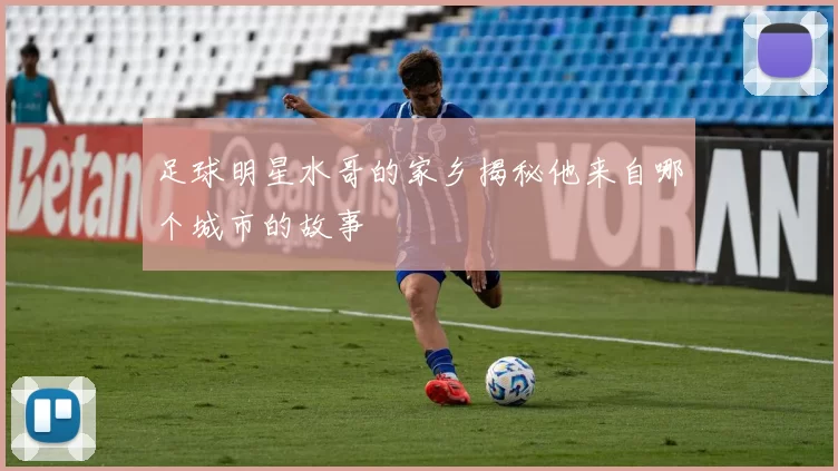 足球明星水哥的家乡揭秘他来自哪个城市的故事