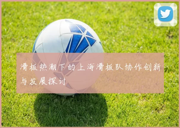 滑板热潮下的上海滑板队协作创新与发展探讨