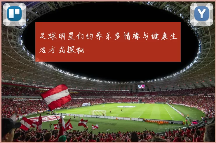 足球明星们的养乐多情缘与健康生活方式探秘