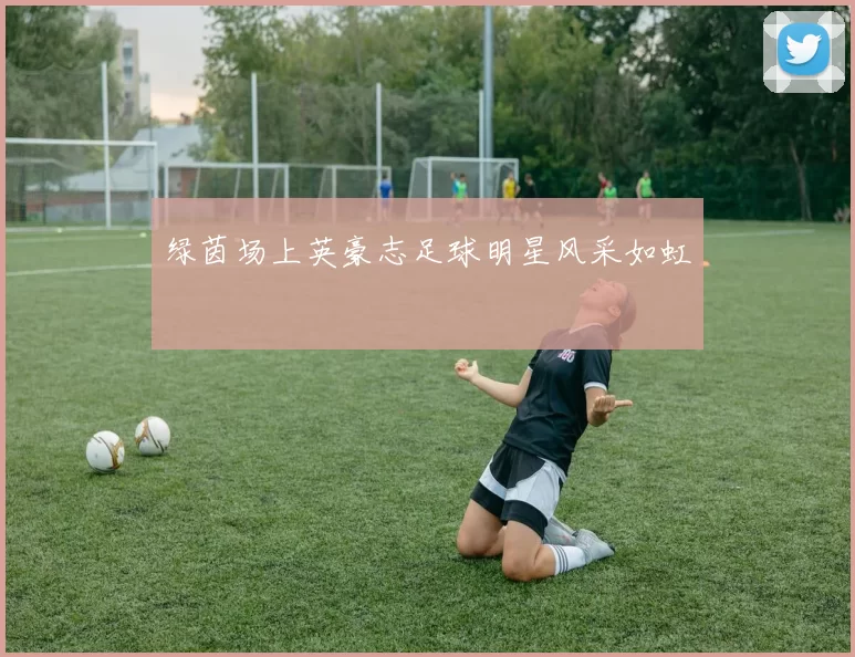 绿茵场上英豪志足球明星风采如虹