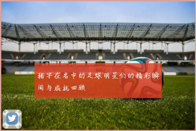 猪字在名中的足球明星们的精彩瞬间与成就回顾