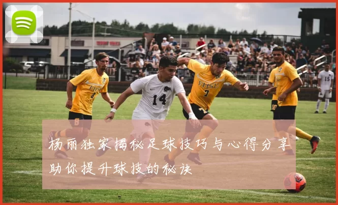 杨丽独家揭秘足球技巧与心得分享助你提升球技的秘诀