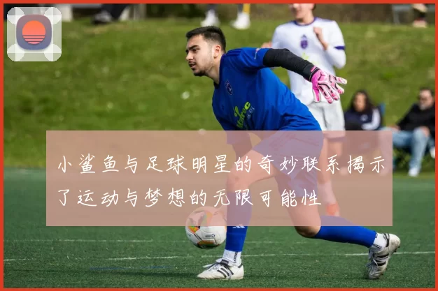 小鲨鱼与足球明星的奇妙联系揭示了运动与梦想的无限可能性