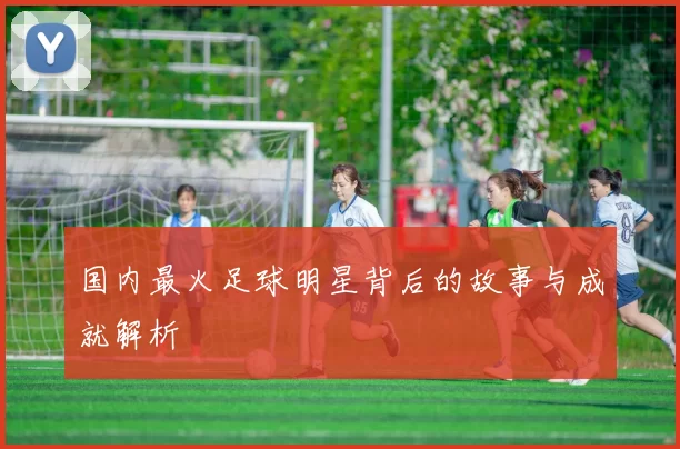 国内最火足球明星背后的故事与成就解析