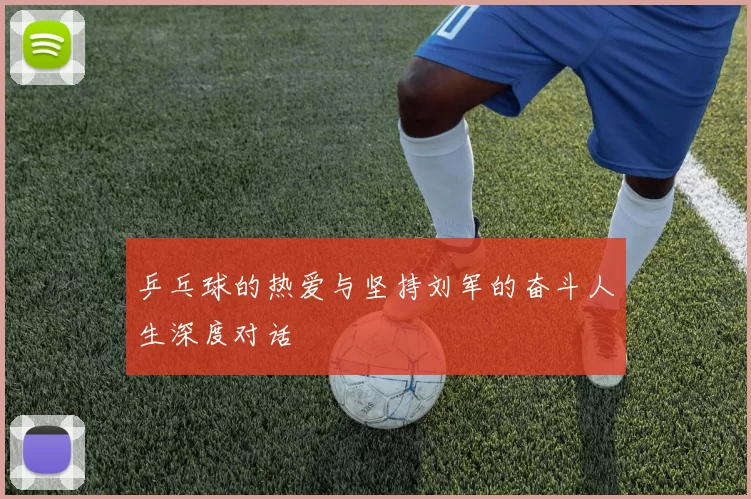 乒乓球的热爱与坚持刘军的奋斗人生深度对话