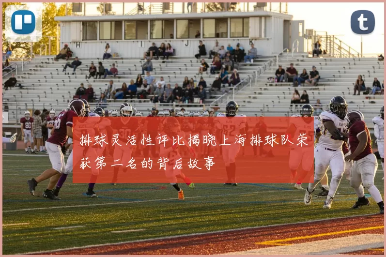排球灵活性评比揭晓上海排球队荣获第二名的背后故事