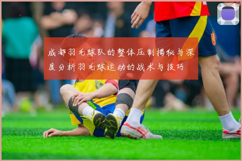 成都羽毛球队的整体压制揭秘与深度分析羽毛球运动的战术与技巧
