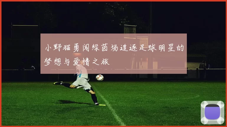 小野猫勇闯绿茵场追逐足球明星的梦想与爱情之旅