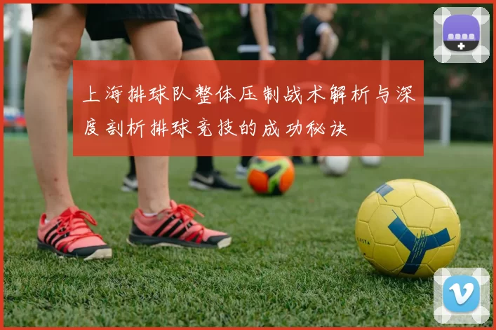 上海排球队整体压制战术解析与深度剖析排球竞技的成功秘诀