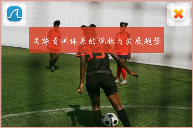 足球青训体系的现状与发展趋势