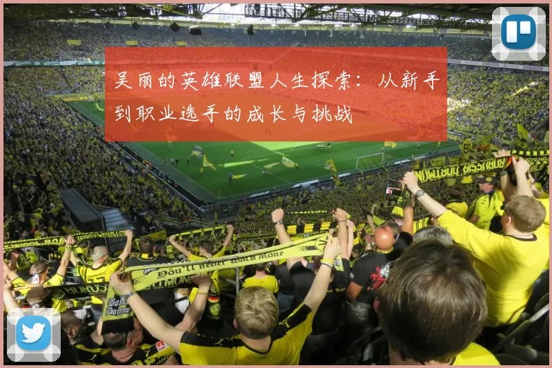 吴丽的英雄联盟人生探索：从新手到职业选手的成长与挑战