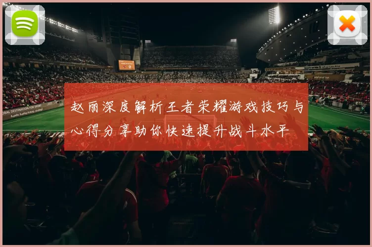 赵丽深度解析王者荣耀游戏技巧与心得分享助你快速提升战斗水平